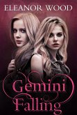 Gemini Falling (eBook, ePUB)