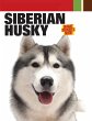 Siberian Husky (eBook, ePUB) - Bild 1
