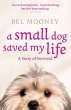 A Small Dog Saved My Life (eBook, ePUB) - Bild 1