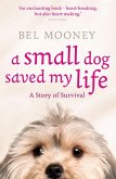 A Small Dog Saved My Life (eBook, ePUB)
