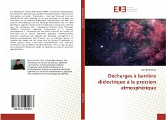 Décharges à barrière diélectrique à la pression atmosphérique - Berchtikou, Aziz