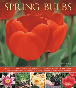 Spring Bulbs - Mchoy, Peter