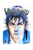Vagabond 01