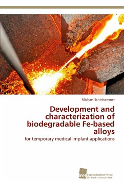Development and characterization of biodegradable Fe-based alloys - Schinhammer, Michael