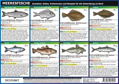 Info-Tafel-Set Meeresfische - Schulze, Michael