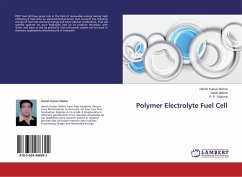 Polymer Electrolyte Fuel Cell