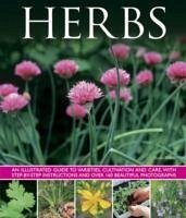 Herbs - White, Susie