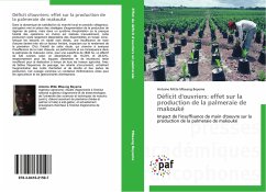 Déficit d'ouvriers: effet sur la production de la palmeraie de makouké - Mbeang Beyeme, Antoine Mitte