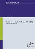 What is Corporate Social Responsibility (CSR)? Eine Literaturanalyse (eBook, PDF)
