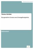 Kooperatives Lernen aus Lösungsbeispielen (eBook, PDF)