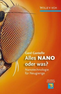 Alles NANO - oder was? (eBook, PDF) - Ganteför, Gerd