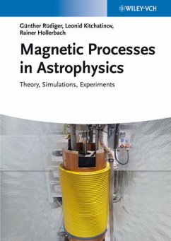 Magnetic Processes in Astrophysics (eBook, PDF) - Rüdiger, Günther; Hollerbach, Rainer; Kitchatinov, Leonid L.
