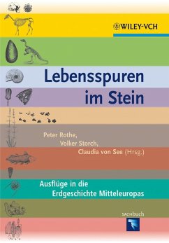 Lebensspuren im Stein (eBook, PDF)