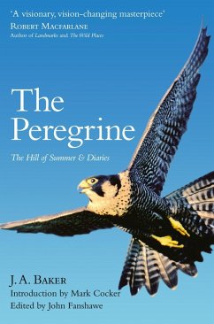 The Peregrine (eBook, ePUB) - Baker, J. A.