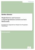 Möglichkeiten und Grenzen computergestützten Lernens im Fach Mathematik (eBook, PDF)