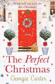 The Perfect Christmas (eBook, ePUB)