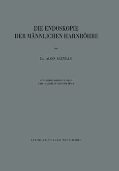 Die Endoskopie der Männlichen Harnröhre - Glingar, Alois