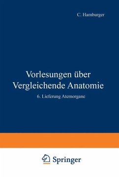 Vorlesungen Über Vergleichende Anatomie - Bütschli, Otto;Hamburger, C.;Blochmann, F.
