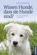Wissen Hunde, dass sie Hunde sind? - Bild 1