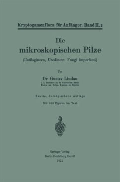 Die mikroskopischen Pilze - Lindau, Gustav;Pilger, Robert