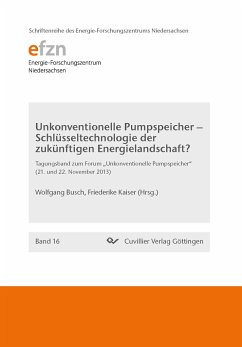 Unkonventionelle Pumpspeicher ¿ Schlüsseltechnologie der zukünftigen Energielandschaft? (Band 16). Tagungsband zum Forum ¿Unkonventionelle Pumpspeicher¿ (21. und 22. November 2013) - Kaiser, Friederike