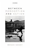 Between Perception and Action (eBook, PDF)