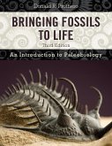 Bringing Fossils to Life (eBook, ePUB)