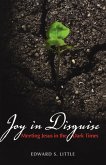 Joy in Disguise (eBook, ePUB)