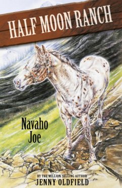 Navaho Joe (eBook, ePUB) - Oldfield, Jenny