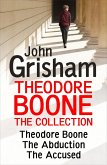 Theodore Boone: The Collection (Books 1-3) (eBook, ePUB)