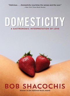 Domesticity (eBook, ePUB) - Shacochis, Bob