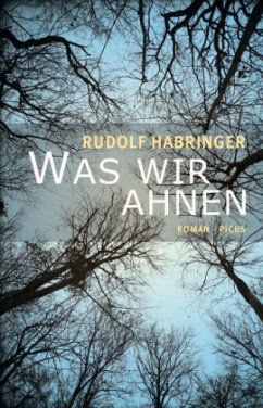 Was wir ahnen - Habringer, Rudolf