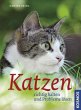 Katzen richtig halten und Probleme... - Bild 1