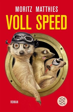 Voll Speed / Erdmännchen Ray & Rufus Bd.2 - Matthies, Moritz