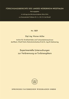 Experimentelle Untersuchungen zur Verbrennung an Turbinengittern - Müller, Werner