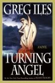 Turning Angel (eBook, ePUB)