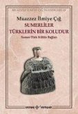 Sumerliler Türklerin Bir Koludur