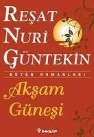 Aksam Günesi - Nuri Güntekin, Resat