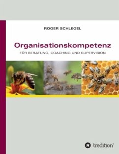 Organisationskompetenz - Schlegel, Roger