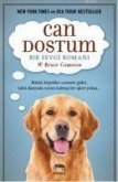 Can Dostum