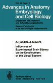 Influences of Experimental Brain Edema on the Development of the Visual System