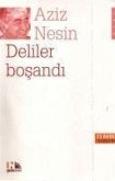Deliler Bosandi Deliler Bosandi