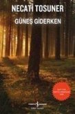 Günes Giderken