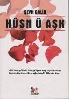 Hüsn ü Ask - Galip, Seyh