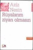 Rüyalarim Ziyan Olmasin