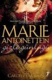 Marie Antoinettein Gizli Günlügü