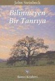 Bilinmeyen Bir Tanriya