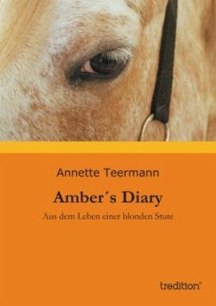 Amber´s Diary - Teermann, Annette