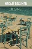 Cilginsi