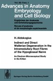 Indirect and Direct Wallerian Degeneration in the Intramedullary Root Fibres of the Hypoglossal Nerve